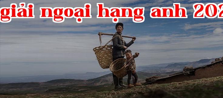 Nền tảng 832